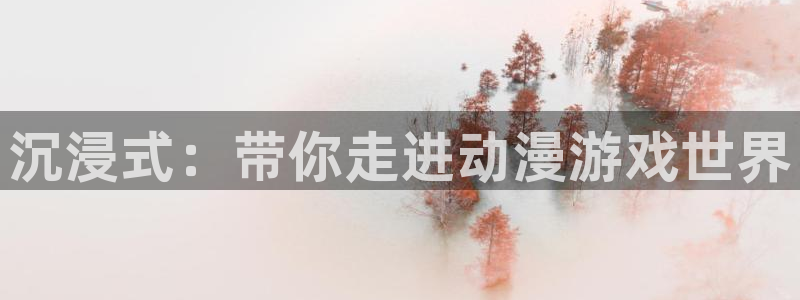 风车动漫正版官网入口