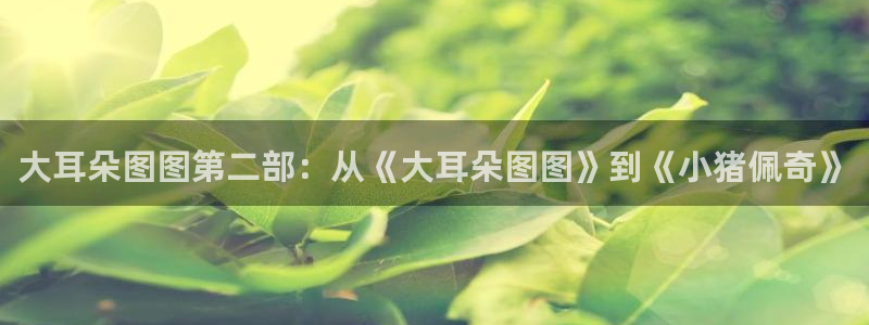 风车动漫网下载最新